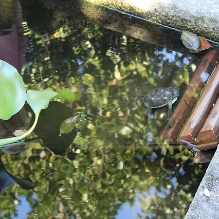 بيت للعطل Santa Comba Garden بونتي دي ليما