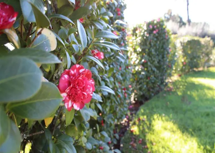 Santa Comba Garden *